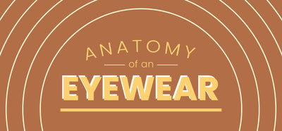 Anatomy of Eyewear [Infographic]