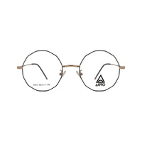 Arvo Gold Metal Round Eyeglasses AV 3003/M04