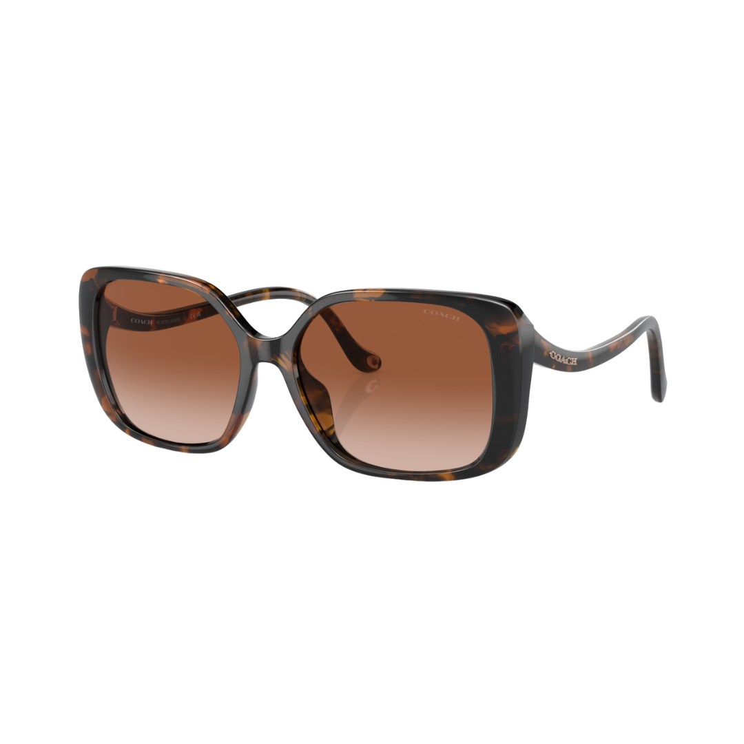 Coach Square One Coach Square Sunglasses – Vision Express