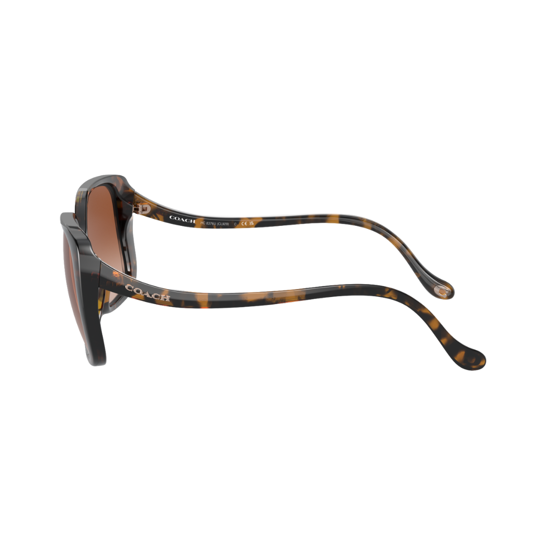 Coach Square One Coach Square Sunglasses – Vision Express
