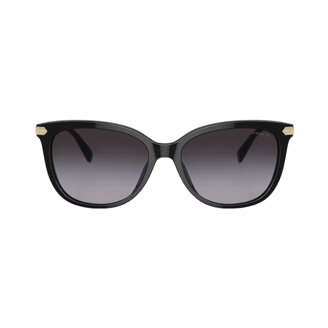 Coach Cat Eye Sunglasses