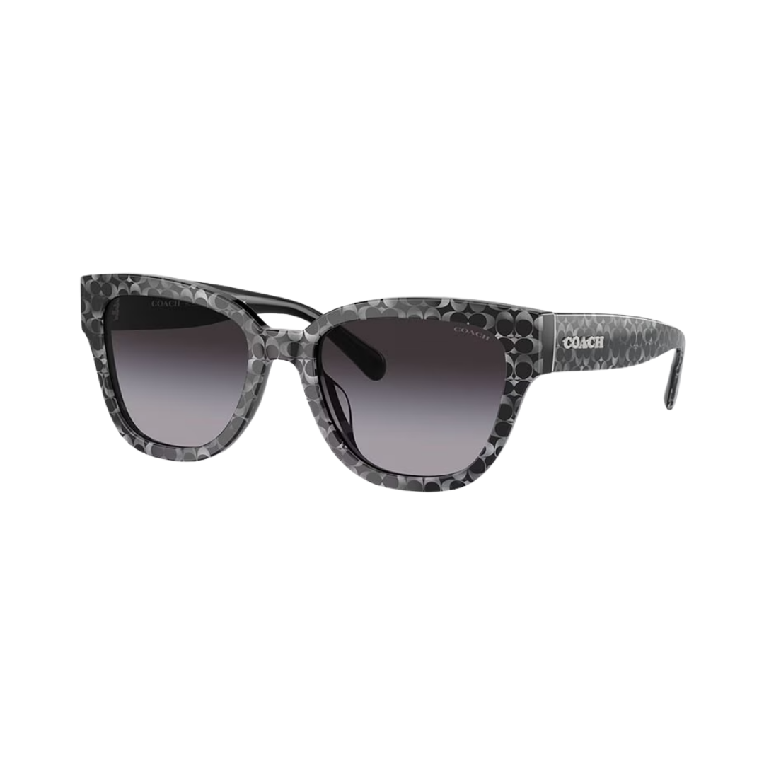 Coach Square One Coach Square Sunglasses – Vision Express