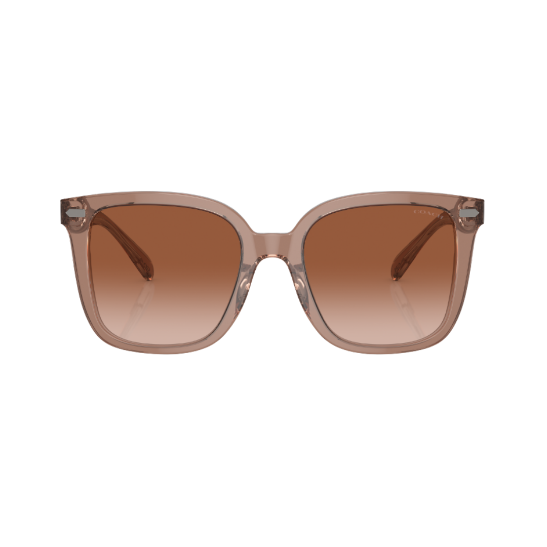 Coach Square Sunglasses