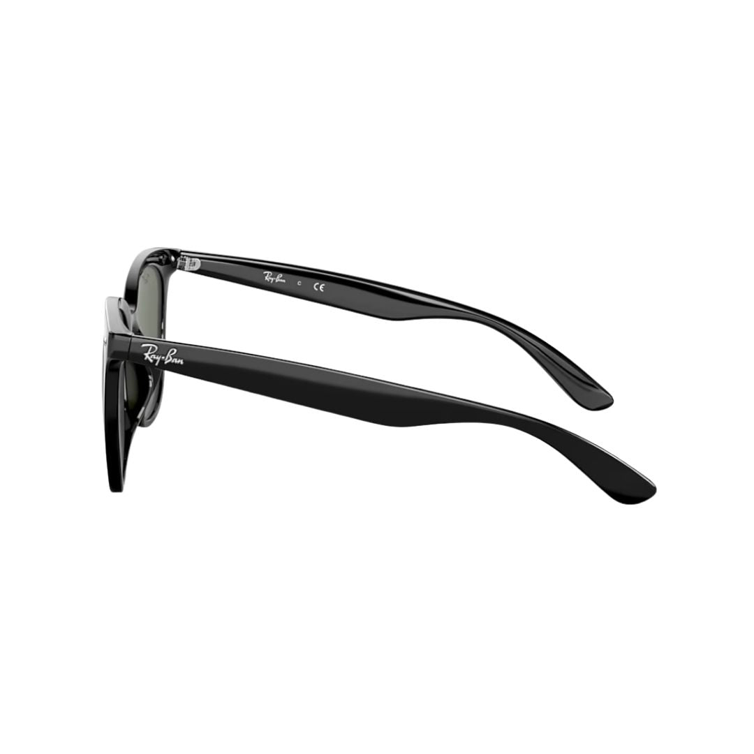 Ray-Ban Dark Green On Black Plastic Square Sunglasses RB4379D6017155 - Vision Express Optical Philippines