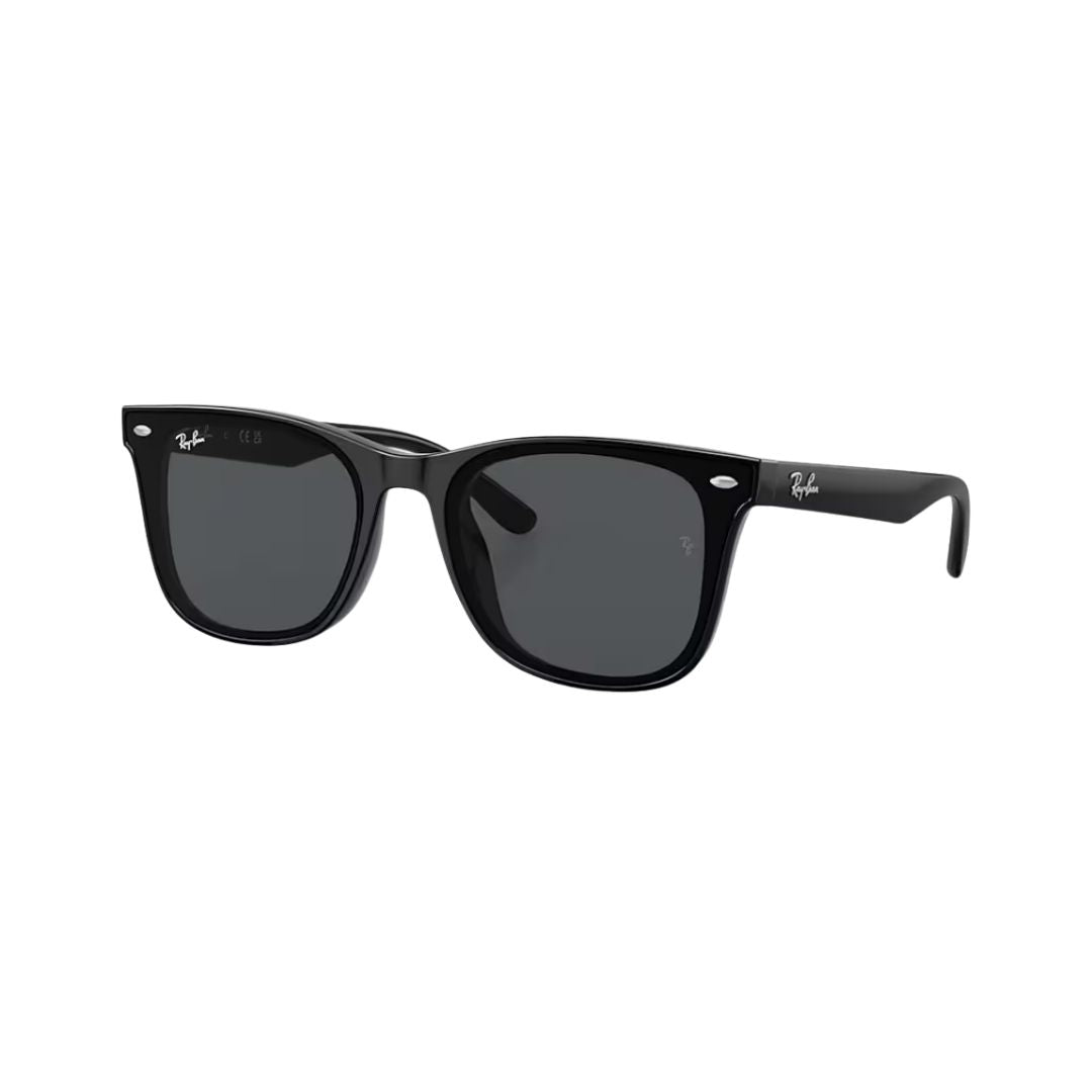 Ray-Ban Dark Grey On Black Plastic Square Sunglasses RB4391D6018765 - Vision Express Optical Philippines
