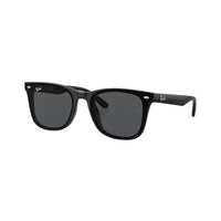 Ray-Ban Dark Grey On Black Plastic Square Sunglasses RB4391D6018765 - Vision Express Optical Philippines