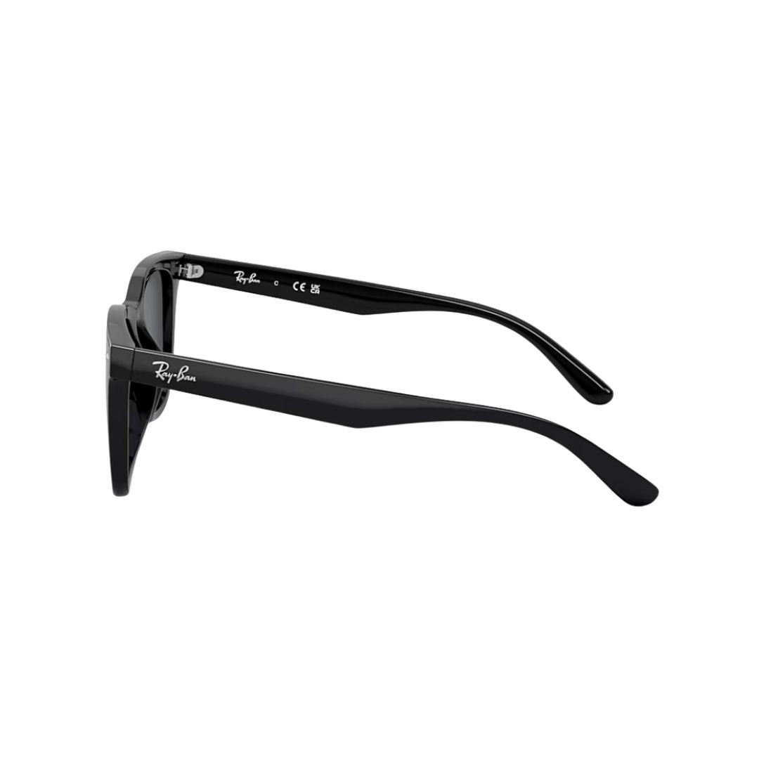 Ray-Ban Dark Grey On Black Plastic Square Sunglasses RB4391D6018765 - Vision Express Optical Philippines