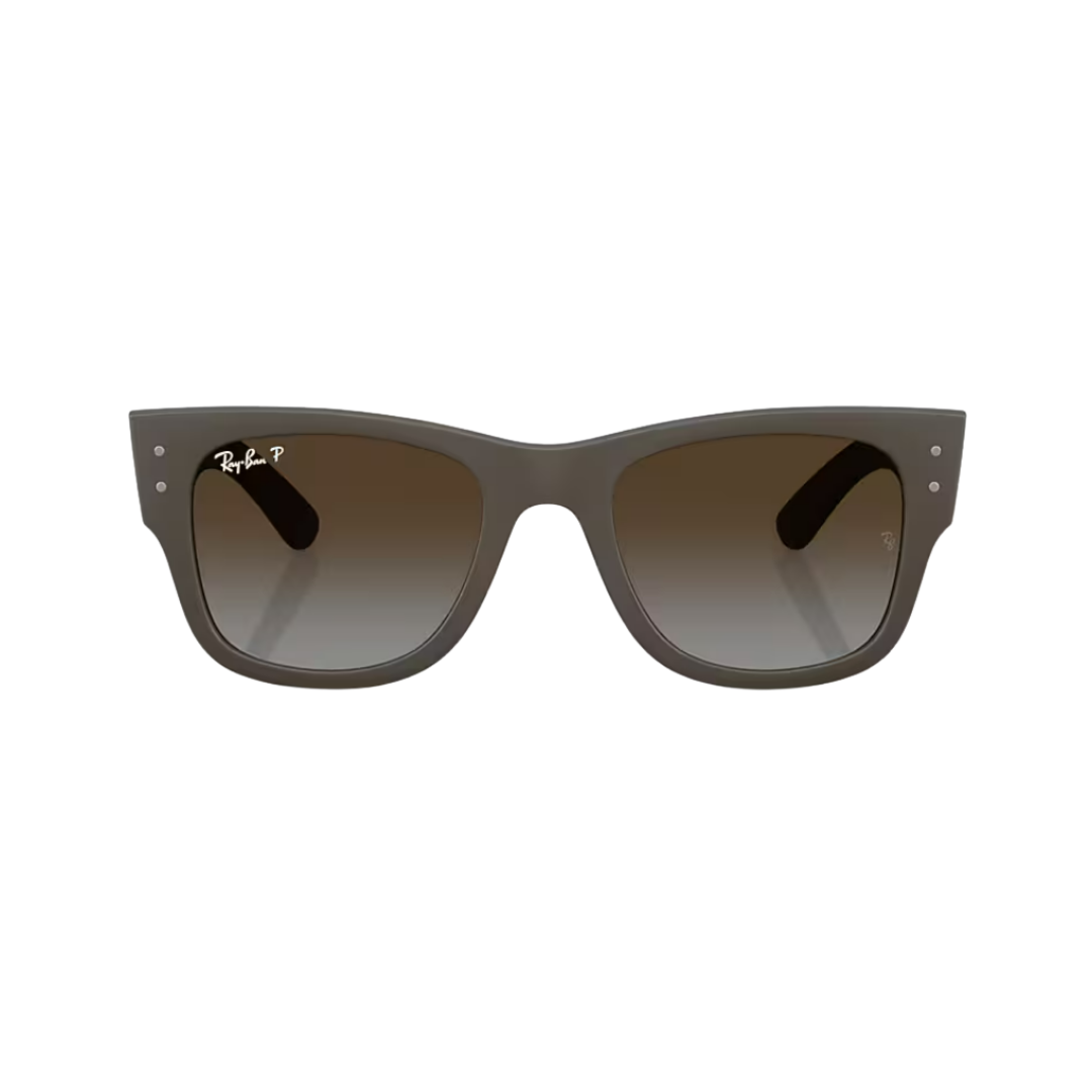 Ray-Ban Wayfarer Sunglasses - Vision Express Optical Philippines