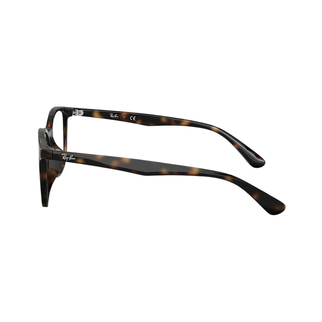 Ray-Ban Polished Havana Plastic Square Eyeglasses RB7093D201254 - Vision Express Optical Philippines