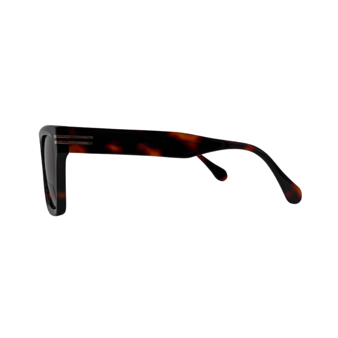 Tony Morgan Men's Brown Square Acetate Sunglasses TMLUCASBROWN55