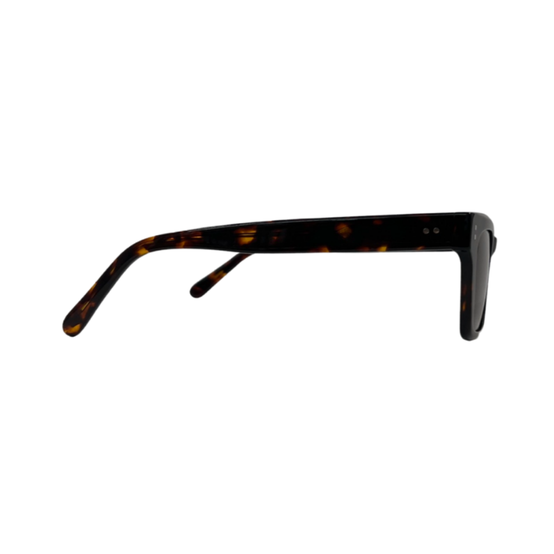 Tony Morgan Men's Brown Square Acetate Sunglasses TMLUKEBROWN50
