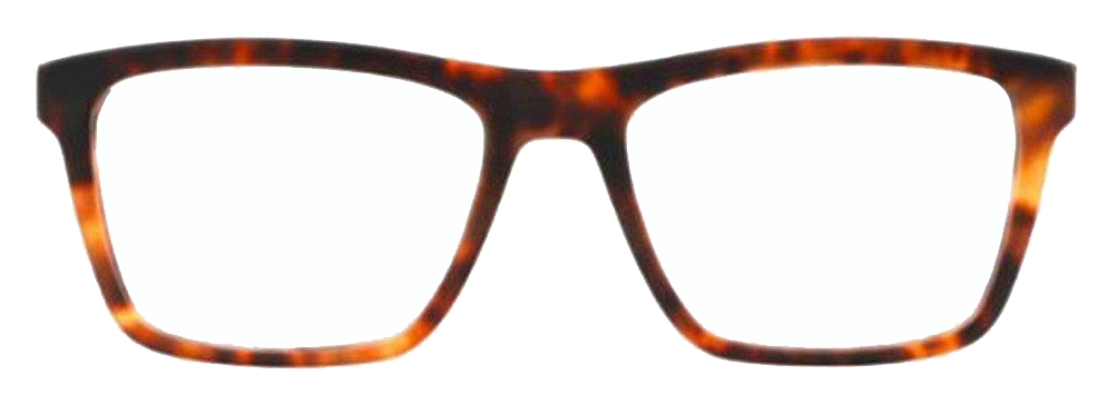 Emporio Armani EA3138F/5704 | Eyeglasses - Vision Express Optical Philippines